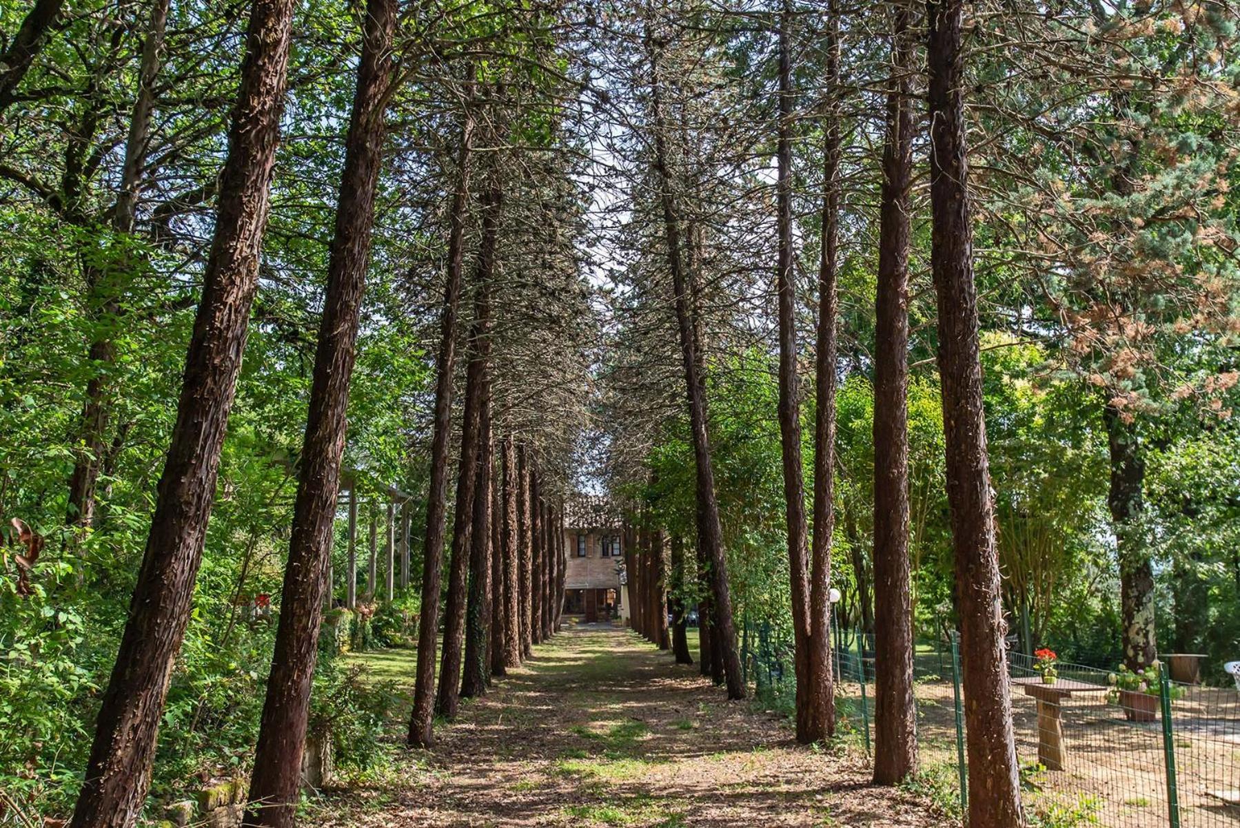 Agriturismo Villa Alari Cetona Zewnętrze zdjęcie